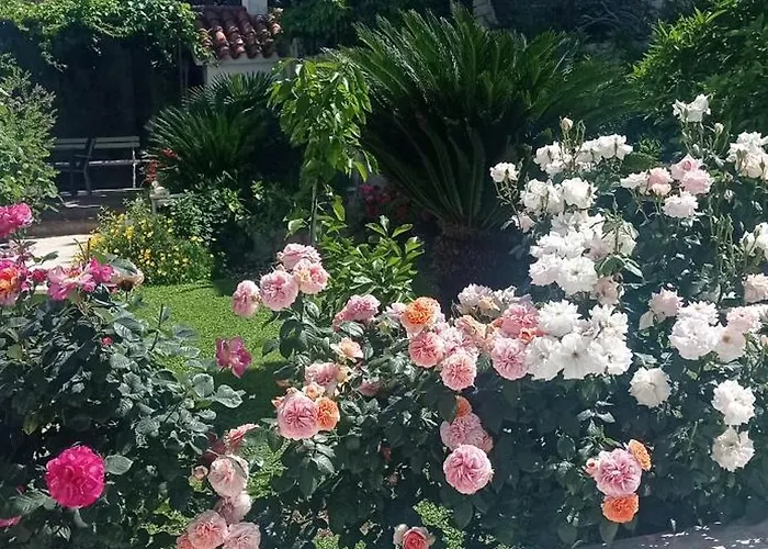Appartement Frana-ugodan U Blizini Stare Jezgre Grada *